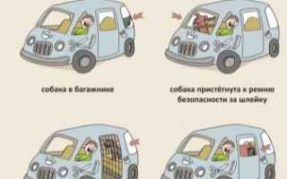 Сколько пороха можно перевозить в машине