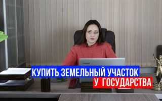 Как купить землю у государства для бизнеса