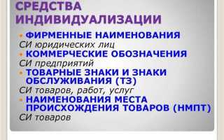 Доменные имена как средства индивидуализации