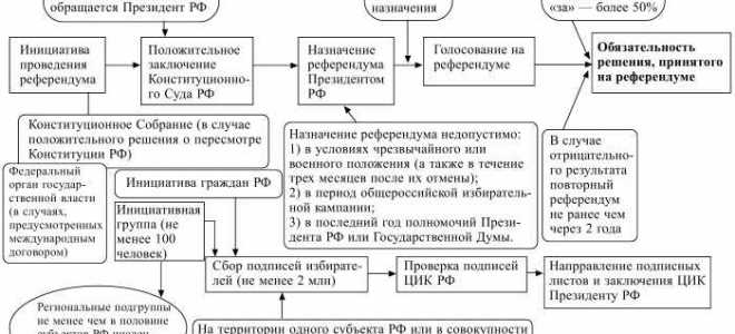 Кто финансирует проведение референдума рф