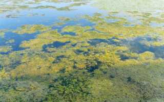 Как охраняют водные ресурсы в нашей стране