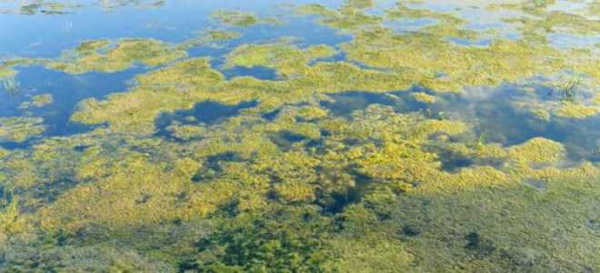 Как охраняют водные ресурсы в нашей стране