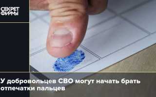 Сколько действуют отпечатки пальцев на визу