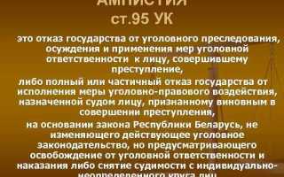 Чем отличается амнистия от помилования