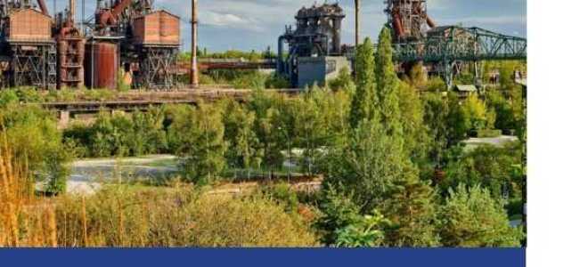 Что можно строить в санитарно защитной зоне