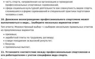 Сфера социально культурной деятельности как совокупность видов спорта