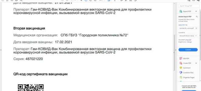 Qr код паспорта на госуслугах для чего
