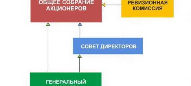 Что такое годовое общее собрание акционеров