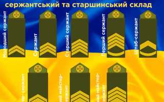 До какого звания можно дослужиться без высшего образования