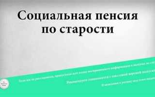 Социальная поддержка пно это что