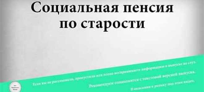 Социальная поддержка пно это что