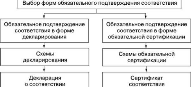 Что может быть объектом обязательного подтверждения соответствия