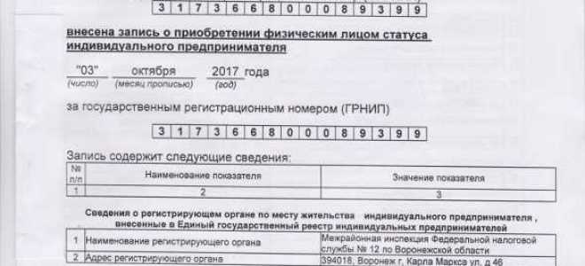 Как выглядит лист записи егрип для ип