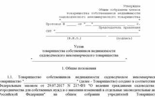 Когда устав снт вступает в силу