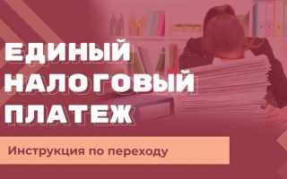 Единый налоговый счет что это