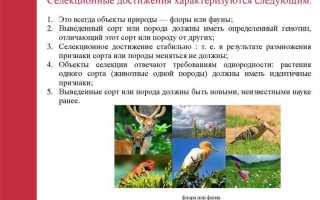 Что понимается под селекционным достижением