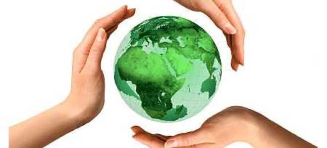 Что необходимо предпринять перед началом приемки топлива