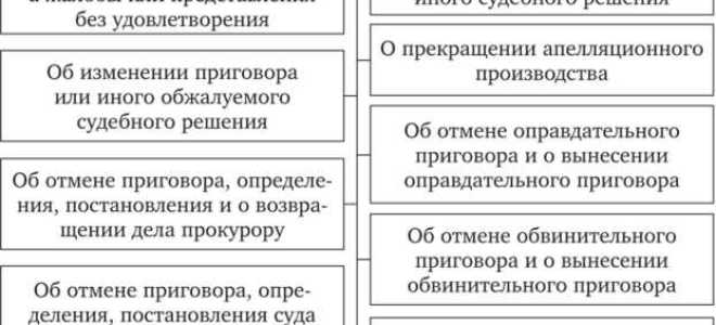 Какие решения могут быть приняты судом апелляционной инстанции