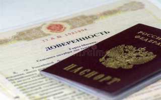 Что входит в паспортные данные что надо указывать