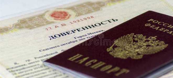 Что входит в паспортные данные что надо указывать