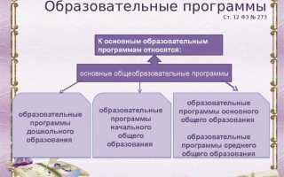 Что представляет собой учебная программа