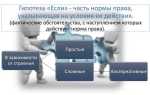 Что такое гипотеза в праве