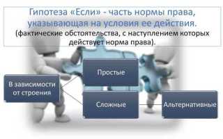Что такое гипотеза в праве