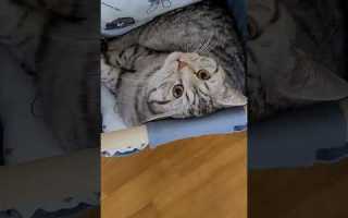 Кто первый встал того и