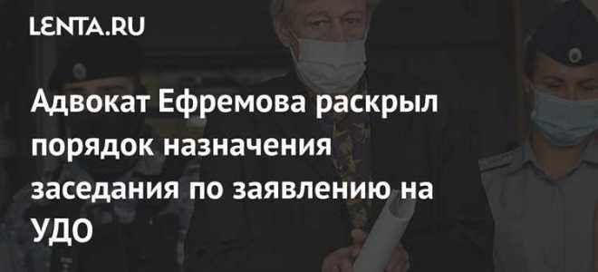 Через сколько дней после суда по удо отпускают домой