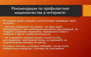Какая статья за мошенничество в интернете