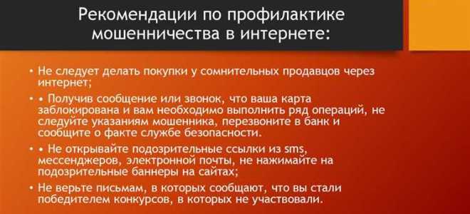 Какая статья за мошенничество в интернете