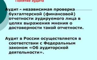 Кто может проводить аудиторскую проверку