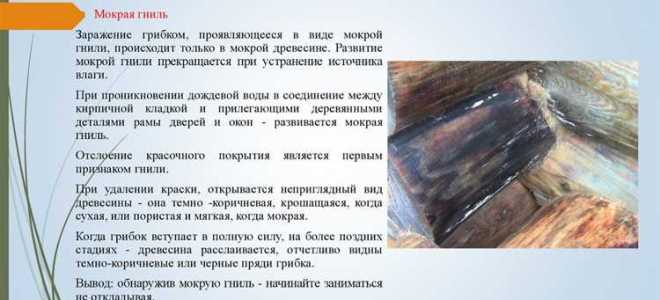 Что является причиной повреждения дефектности деревянных шпал