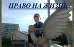 Право человека на жизнь что это