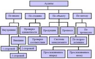Что относится к основным критериям аудита