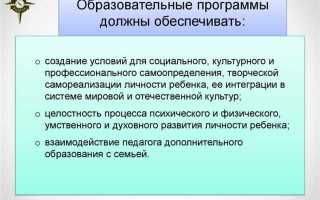 Лица которые осваивают дополнительные общеобразовательные программы называются