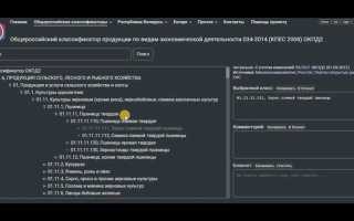 Окпд2 что это и где его взять