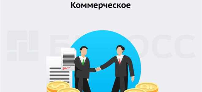 Назовите участников предпринимательской деятельности которые несут неограниченную материальную