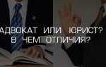 Что лучше адвокат или прокурор