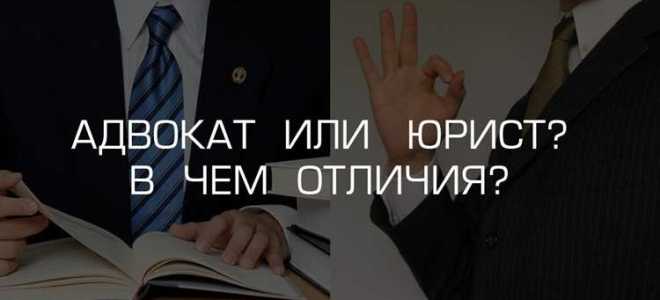 Что лучше адвокат или прокурор