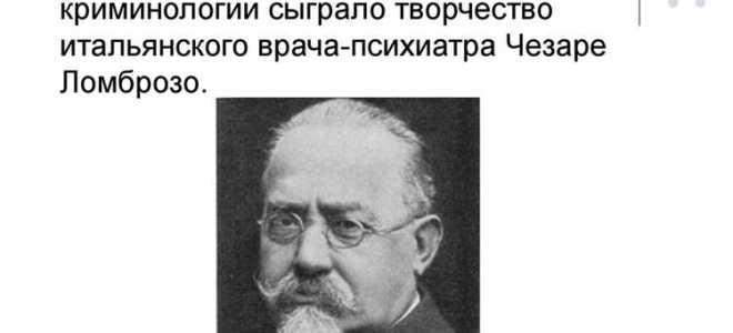 Система ломброзо что это такое