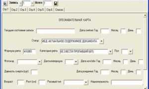 Отсутствует регистрация в целях поиска подходящей работы что это такое