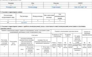 Сзв корр особая что это