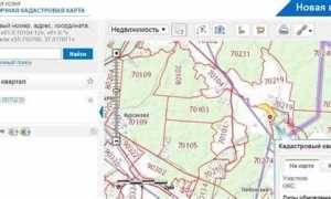 Как посмотреть ограничения на земельный участок на публичной карте