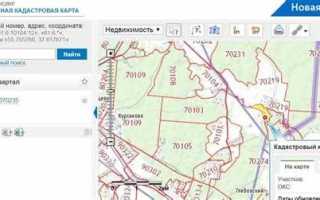 Как посмотреть ограничения на земельный участок на публичной карте