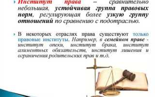 Из чего состоит система права