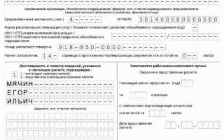 До какого числа сдают рсв