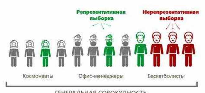 Что такое размер выборки товара в общепите