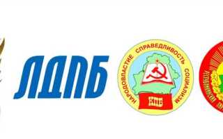 Партийный документ в котором определяется организационное устройство партии