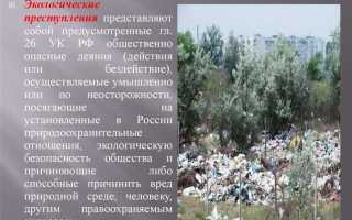 Неверно что субъектом экологического преступления может являться